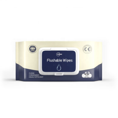Custom logo biodegradable flushable wipes for care